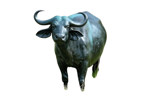 A dark-patina resin sculpture of a water buffalo, standing majestically with its head slightly lowered. The sculpture is highly detailed and realistic.